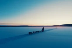 Abenteuerwoche Lappland mit Hundeschlitten für 2 (7 Nächte)