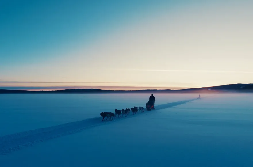Abenteuerwoche Lappland mit Hundeschlitten für 2 (7 Nächte)