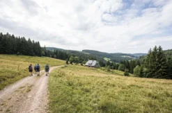 Aktivurlaub Elzach für 2 (2 Nächte)