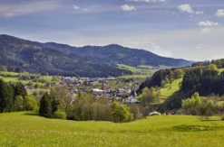 Aktivurlaub Elzach für 2 (2 Nächte)