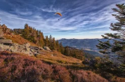 Aktivurlaub im Bayerischen Wald für 2 (2 Nächte)