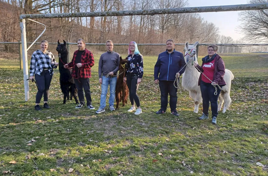 Alpaka Auszeit Schönau-Berzdorf