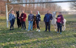 Alpaka Spaziergang Schönau-Berzdorf für 2