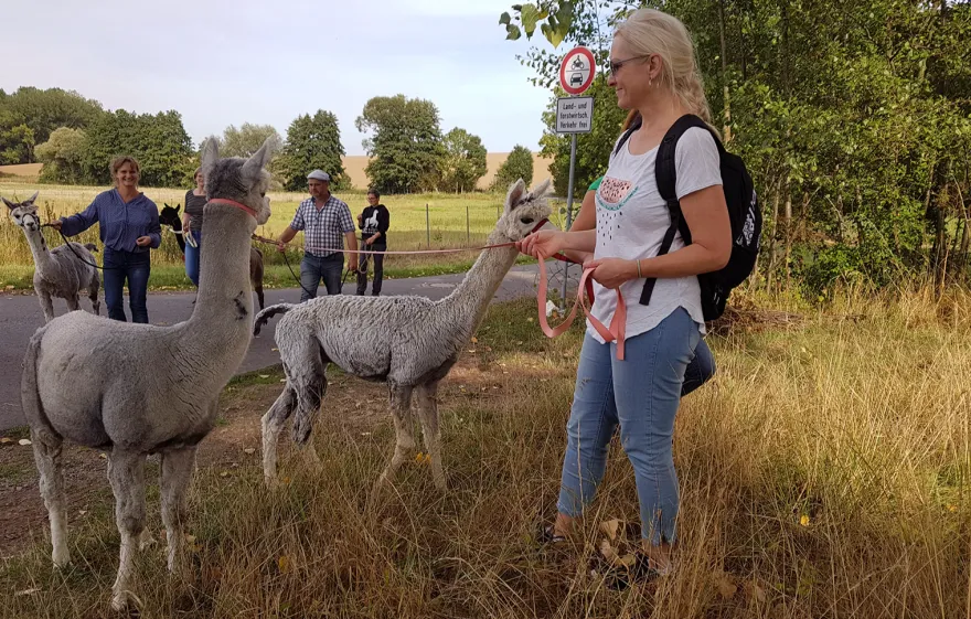 Alpaka Spaziergang Wiederoda für 2
