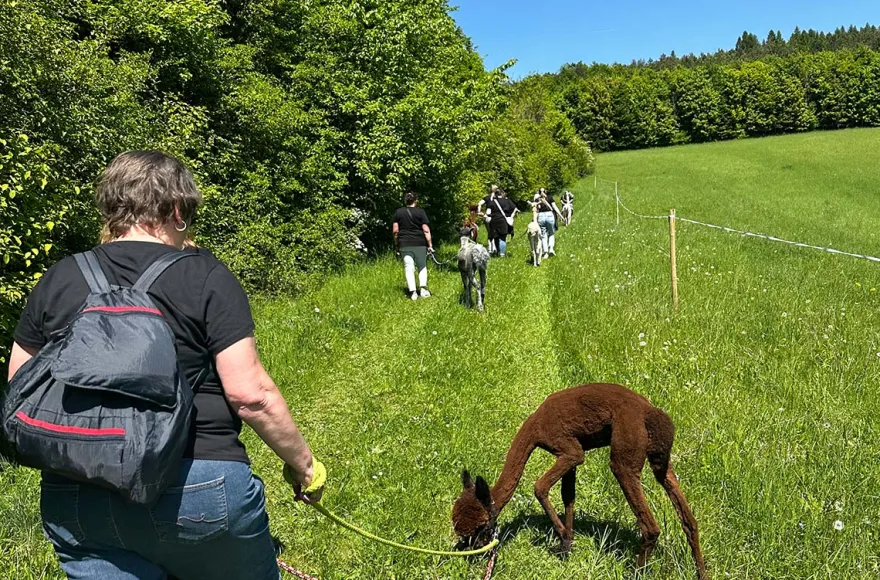 Alpaka Spritztour Wilbich