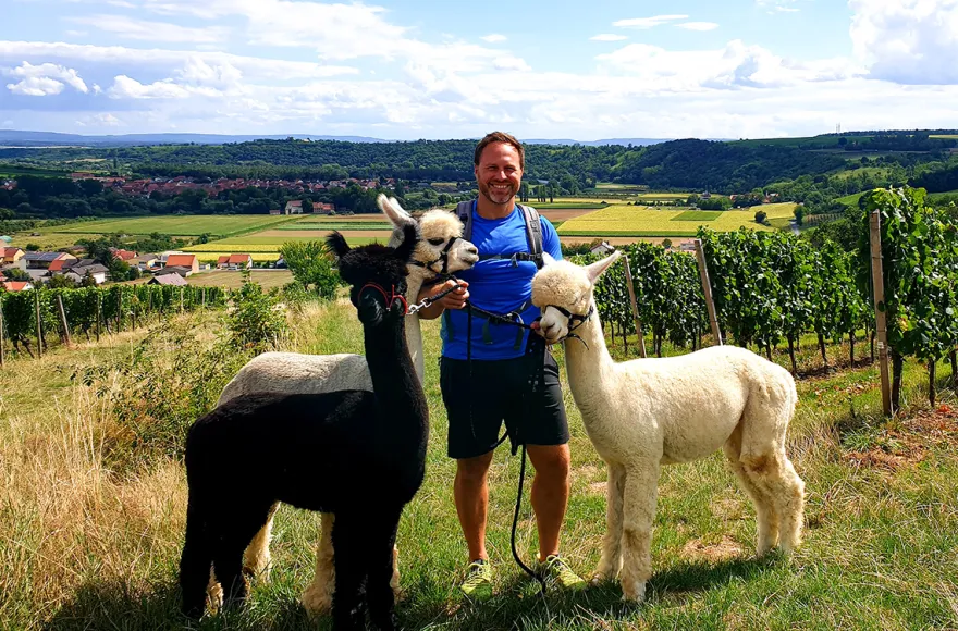 Alpaka Wanderung Dipbach
