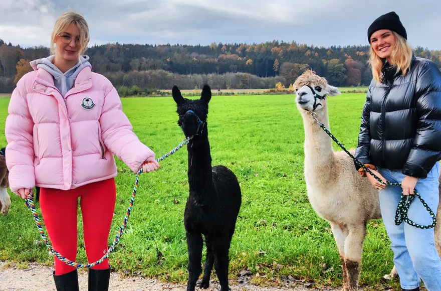 Alpaka Wanderung für 2 Jettingen-Scheppach