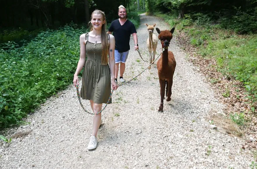 Alpaka Wanderung für 2 Jettingen-Scheppach