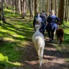 Alpaka Wanderung für 2 Raum Dachau (2,5 Std.)