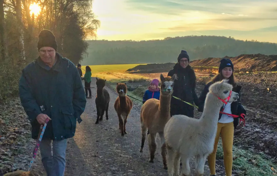 Alpaka Wanderung mit Glühwein Arnstein für 2
