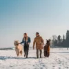 Alpaka Wanderung mit Glühwein für 2