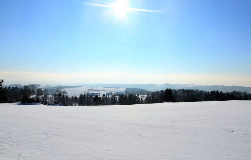 Alpaka Wanderung mit Glühwein Sankt Thomas am Blasenstein für 2