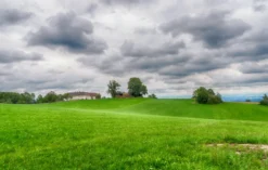 Alpaka Wanderung Sankt Thomas am Blasenstein für 2