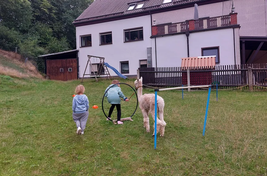 Alpaka Wanderung St. Egidien