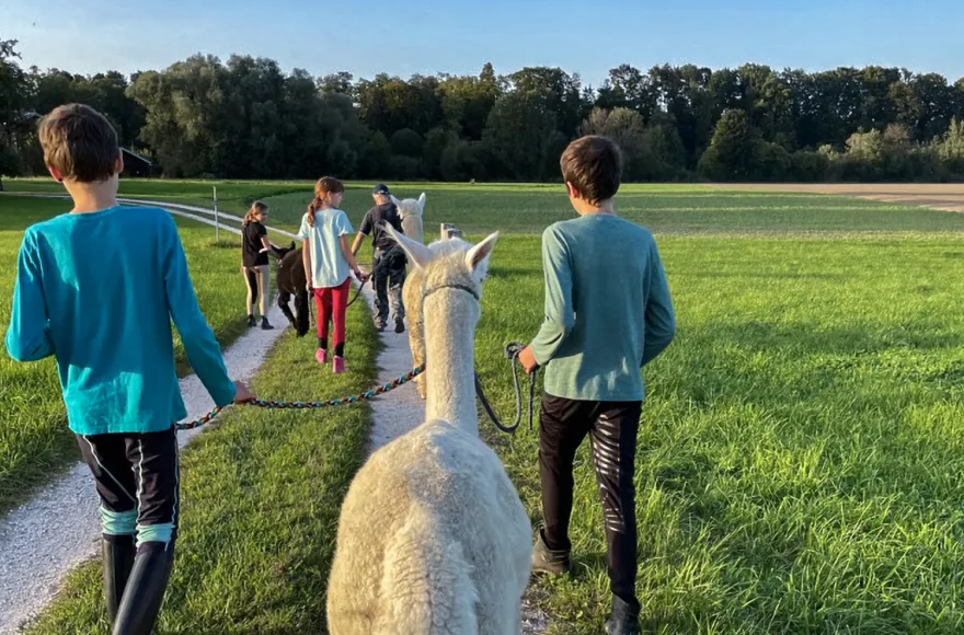 Alpaka Wanderung Taufkirchen (Vils)
