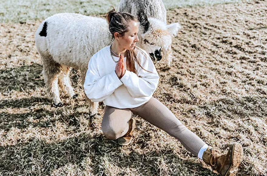 Alpaka Yoga für 2