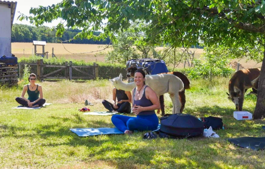 Alpaka Yoga für 2 Arnstein