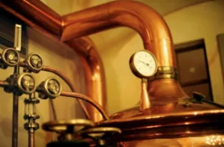 Altbier-Tour mit rheinischem Menü in Düsseldorf