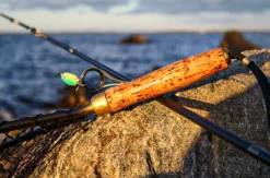Angeln an der Ostsee (7 Std.)