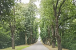 Ape Bergtour Geschriebenstein Oberwart (3,5 Std.)
