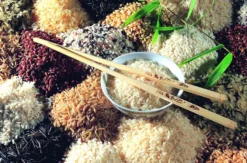 Asiatisch kochen Basel
