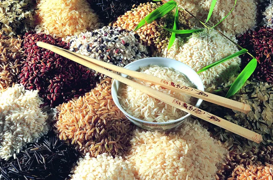 Asiatisch kochen Basel