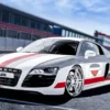 Audi R8 Rennstreckentraining (10 Rdn.)