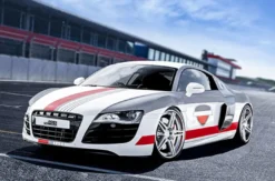 Audi R8 Rennstreckentraining (10 Rdn.)