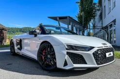 Audi R8 Spyder V10 Performance fahren (6 Std.)