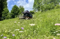 Außergewöhnlich Übernachten im Dachzelt Furtwangen für 2 (2 Nächte)