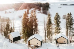 Außergewöhnlich Übernachten im Baumchalet für 2 (2 Nächte)