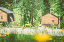 Außergewöhnlich Übernachten im Baumchalet für 2 (2 Nächte)