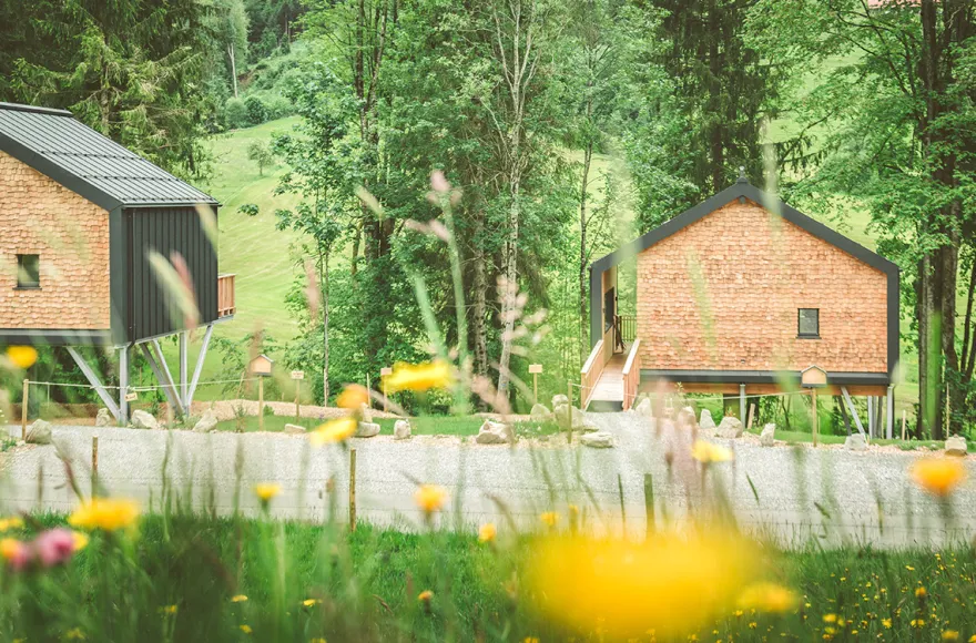 Außergewöhnlich Übernachten im Baumchalet für 2 (2 Nächte)