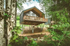Außergewöhnlich Übernachten im Baumchalet für 2 (2 Nächte)