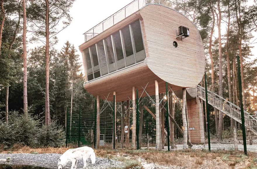 Außergewöhnlich Übernachten im Baumhaus im Wolfcenter Dörverden für 2 (1 Nacht)