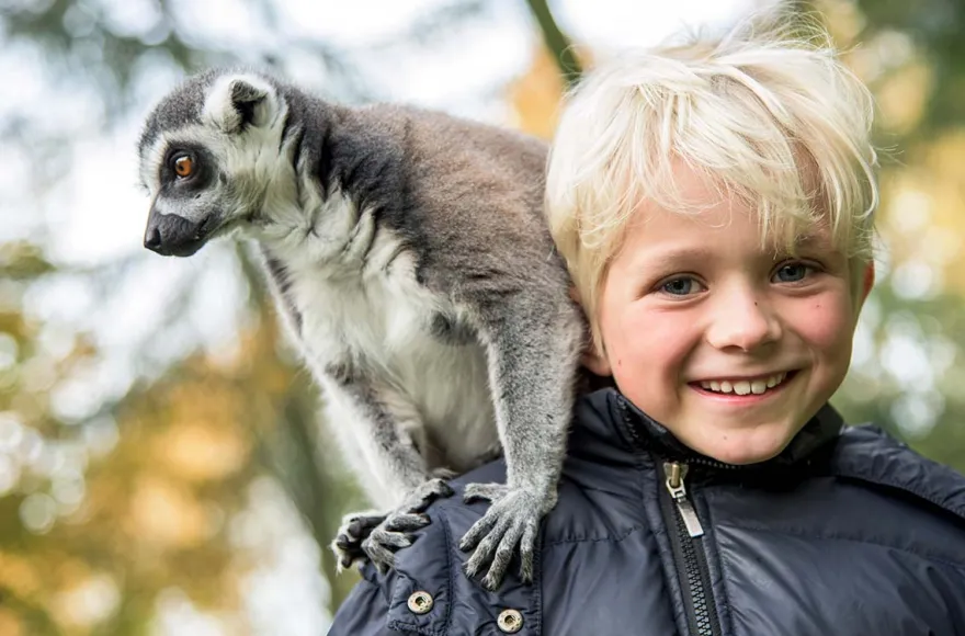 Außergewöhnlich Übernachten im Serengeti-Park für 2 (1 Nacht)