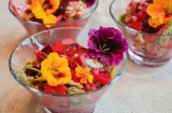 Ayurveda Kochkurs Berlin