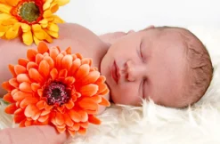 Baby-Fotoshooting