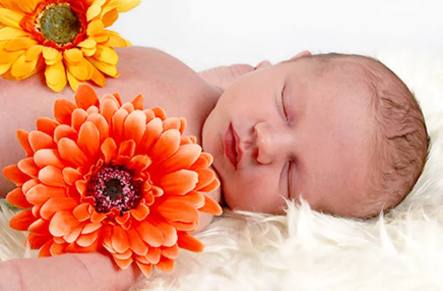 Baby-Fotoshooting