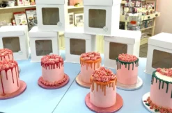 Backkurs Bad Saulgau (Drip Cake & Torte)
