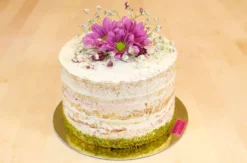 Backkurs Kitzingen - Semi-Naked-Cake