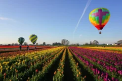 Ballonfahren Norddeutschland