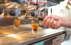 Barista Kurs Frankfurt