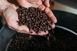 Barista Kurs Radevormwald