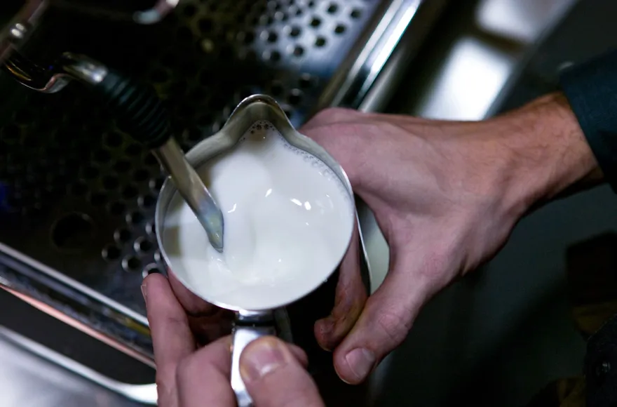Barista Kurs Schwetzingen
