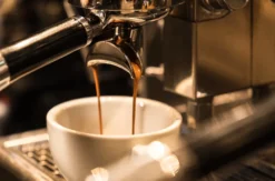 Barista Latte Art Dresden