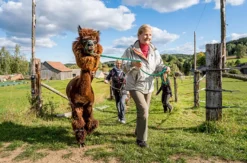 Bauernhof Besuch Bad Großpertholz