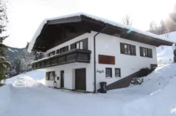Berg-Urlaub im Ferienhaus in Leogang für 8 Personen (4 Tage)