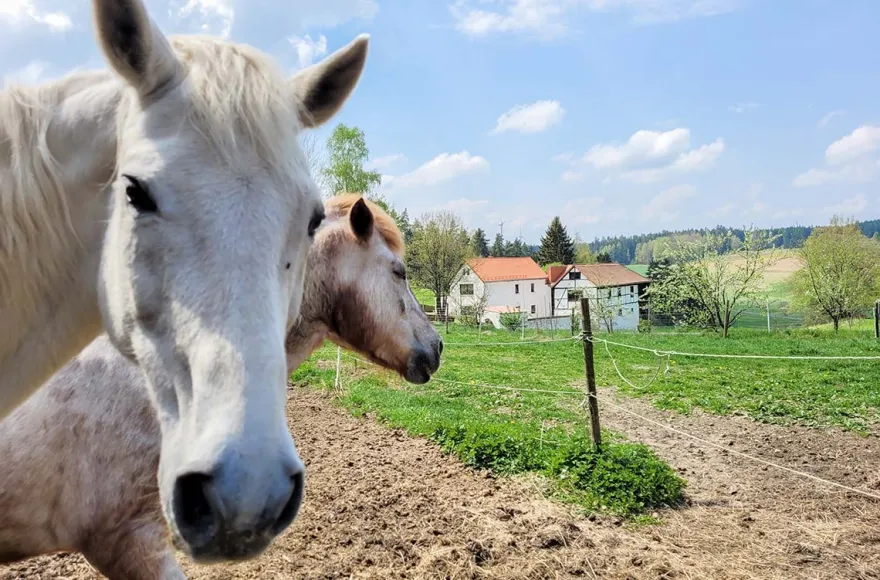 Übernachten im Tiny House Hohenberg a.d.Eger für 2 (2 Nächte)