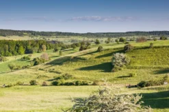 2 Übernachtungen im Naturhotelzimmer Kleinblittersdorf für 2